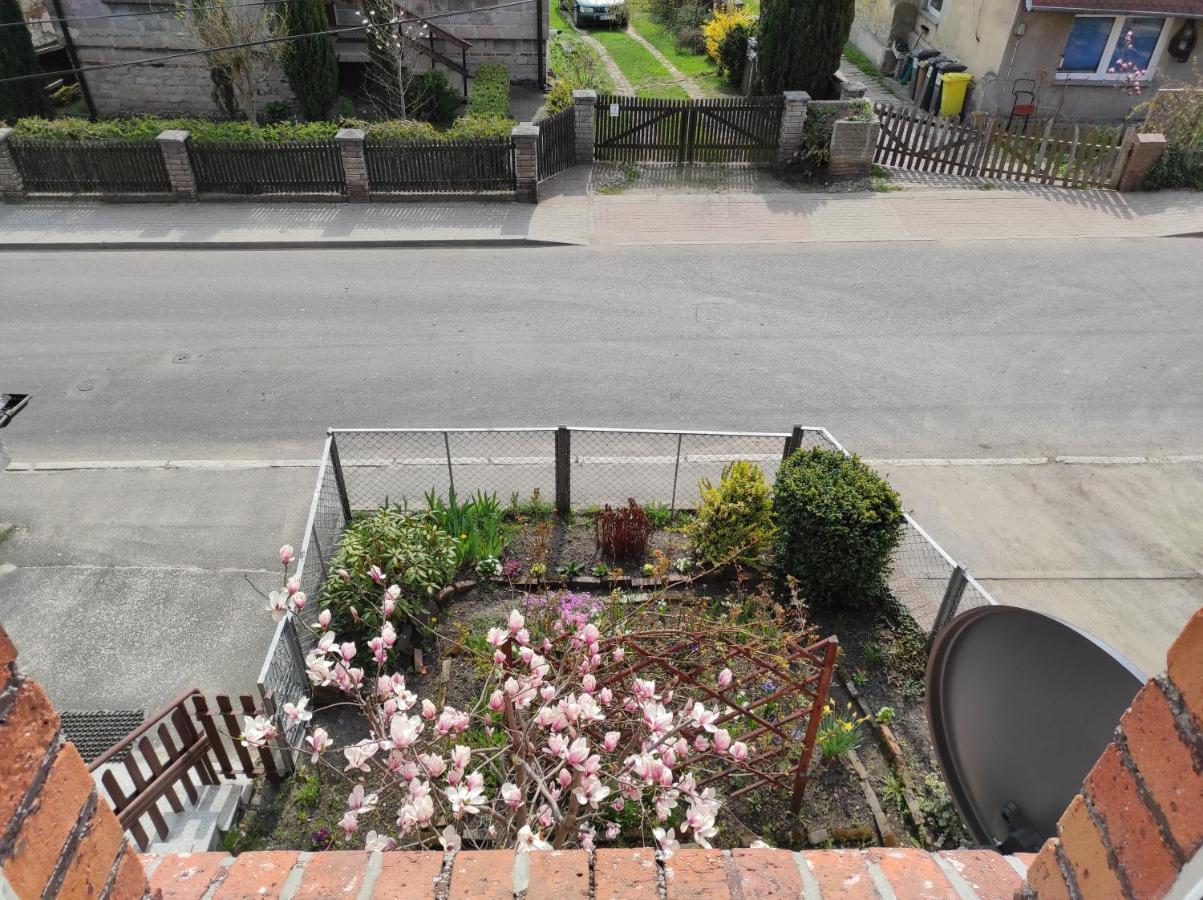 Apartament Pod Jalowcem Gory Sowie 533-543-732 Jedlina-Zdroj Exterior foto