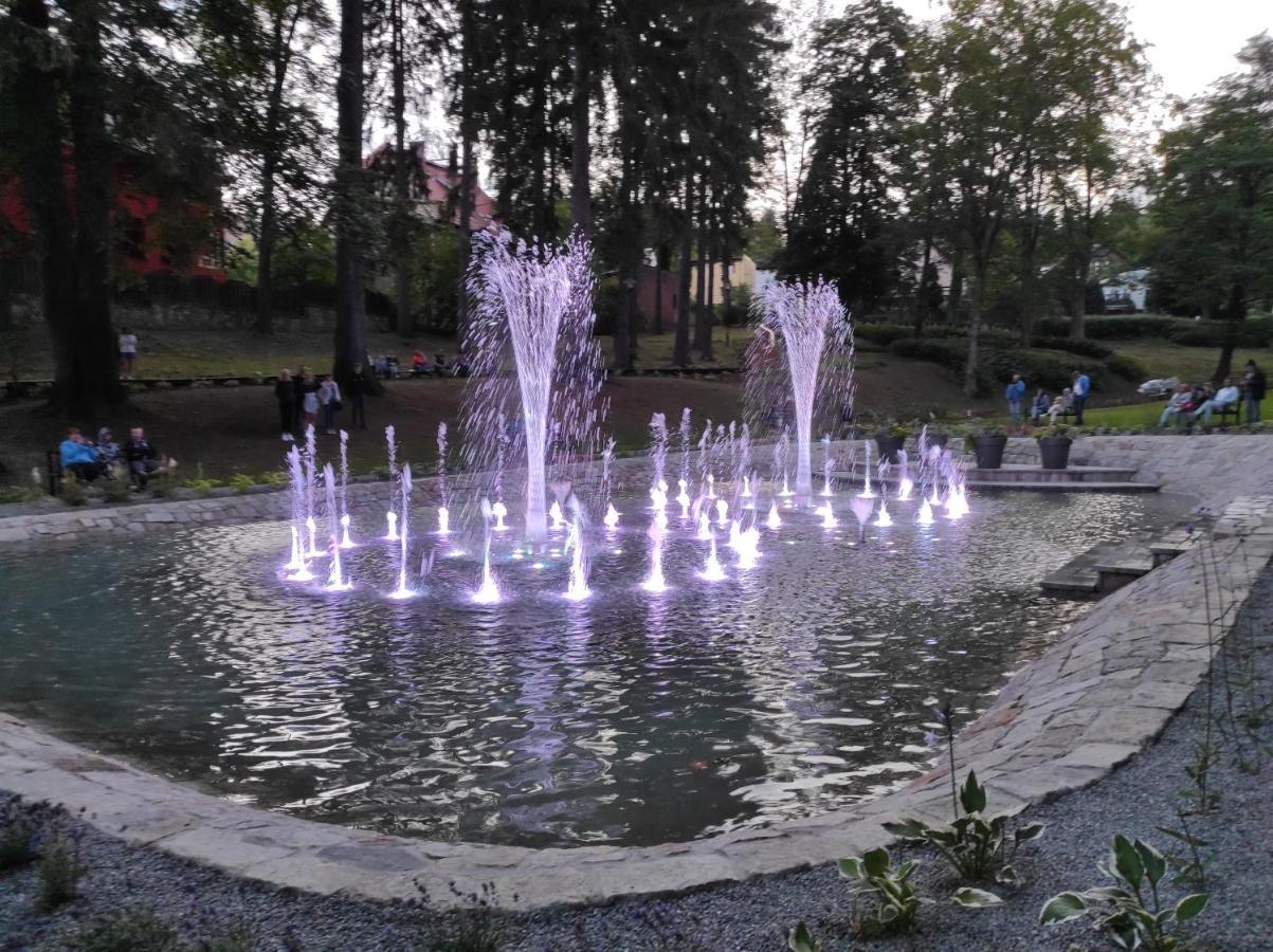 Apartament Pod Jalowcem Gory Sowie 533-543-732 Jedlina-Zdroj Exterior foto